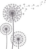 Nicole Sperber Logo